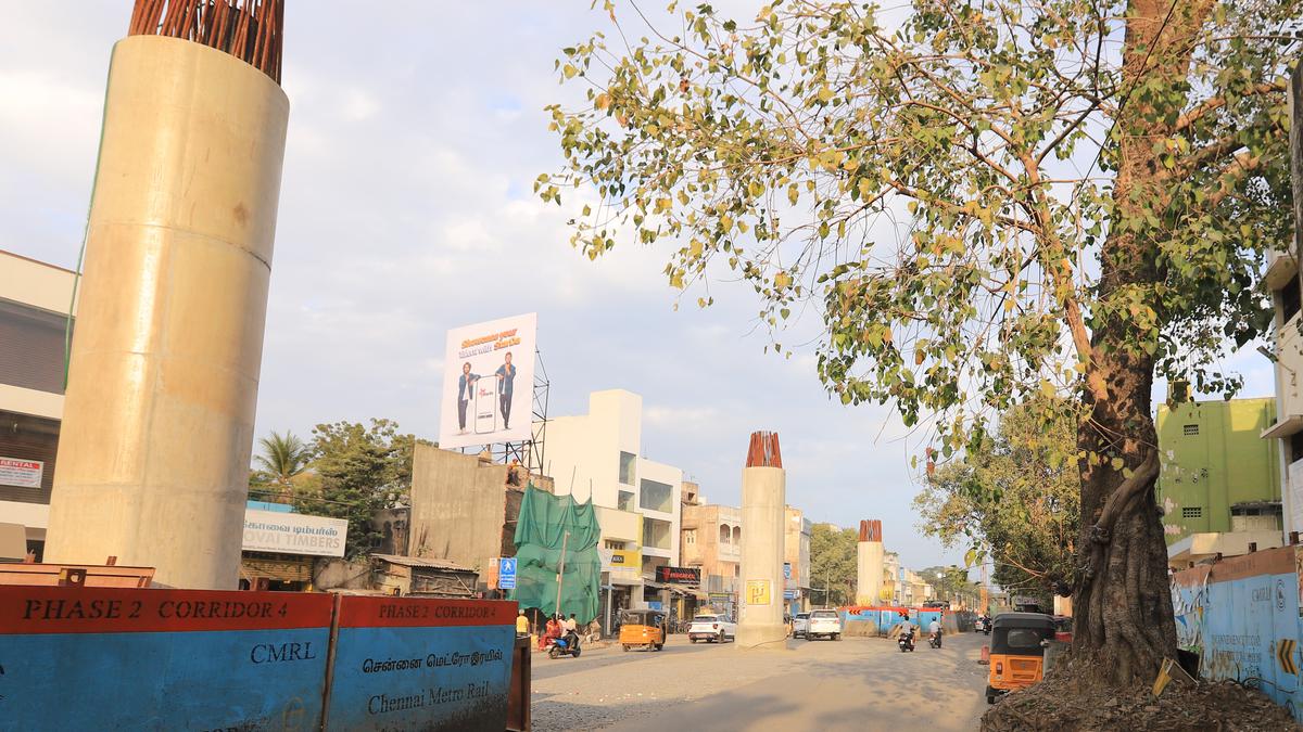 Natural History: Stories of Peepal tree from three neighbourhoods in Chennai