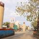 28dc%20Peepal%20Tree%20Arcot%20Road%20Kodambakkam