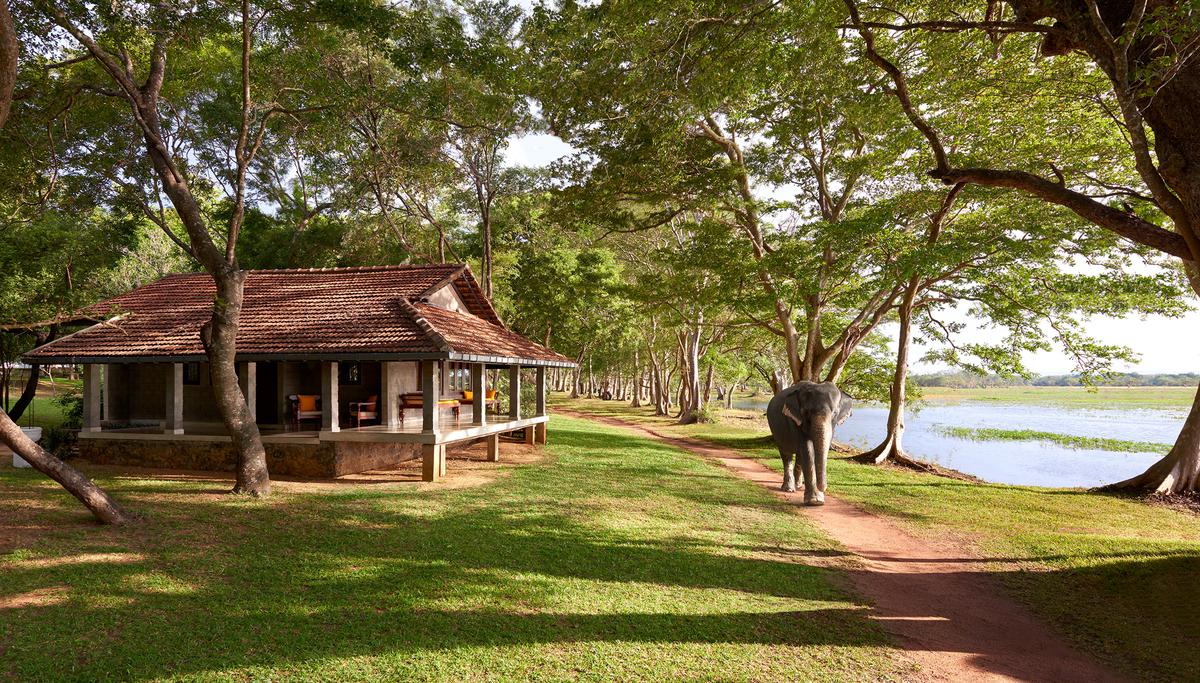 A view of the Habarana Village by Cinnamon, the property next door to the Cinnamon Lodge 