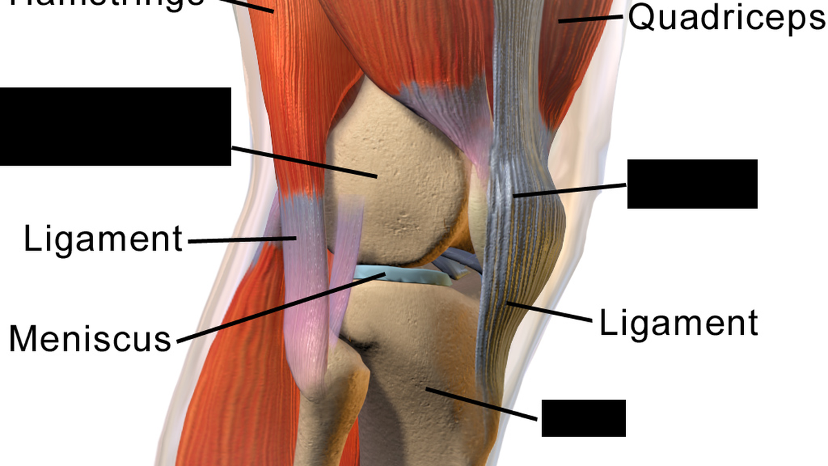Science Quiz: On bone and joint health