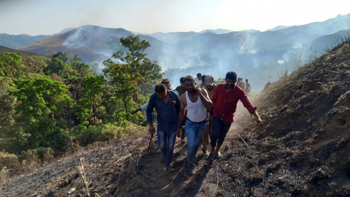 Forest officials being treated in Bengaluru