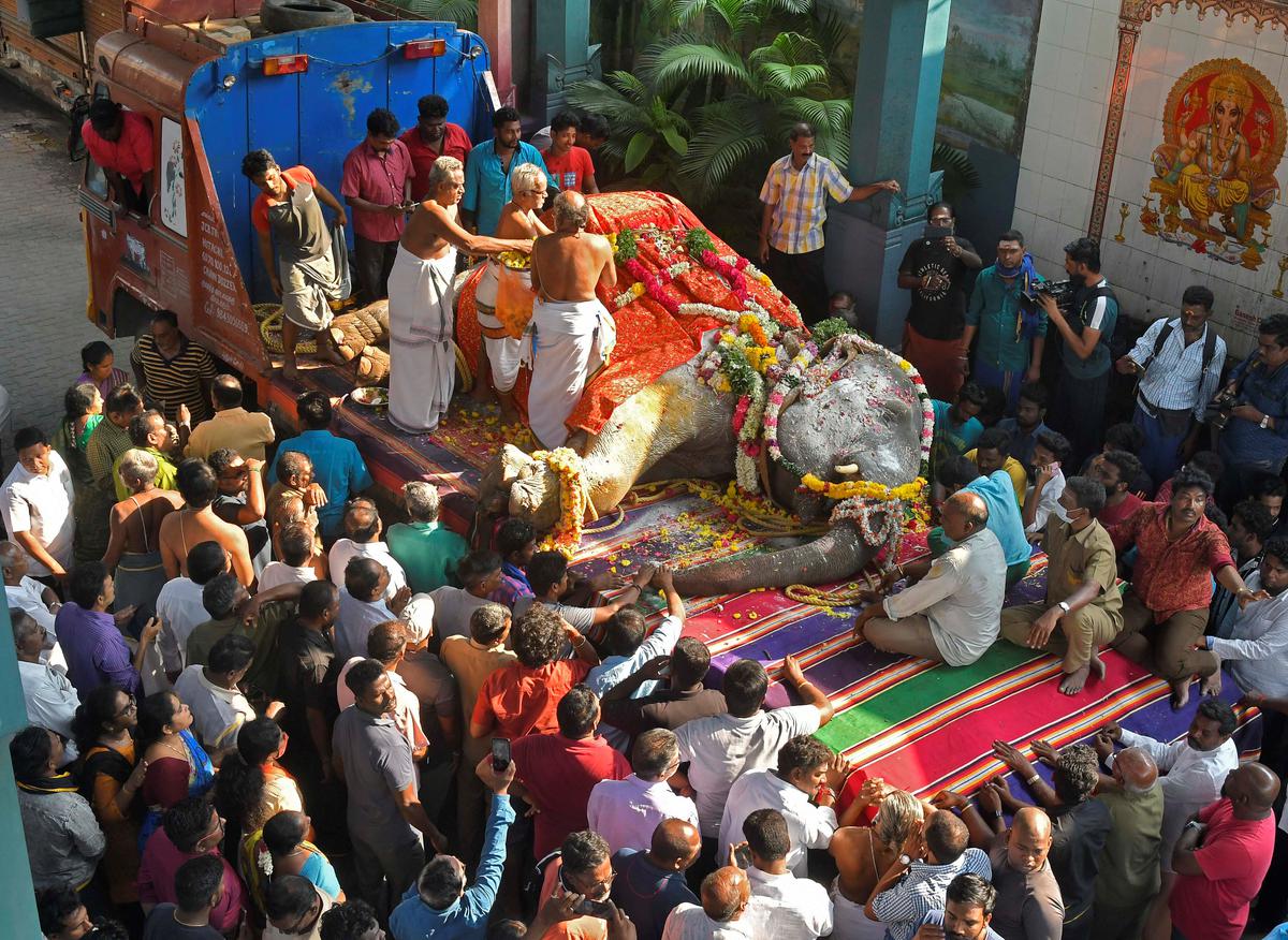 In pictures | Puducherry bids farewell to Lakshmi
