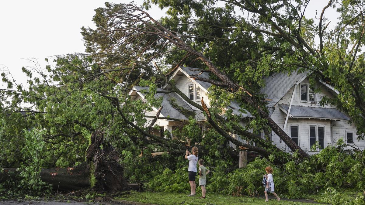 At least 15 dead in U.S. tornadoes, storms