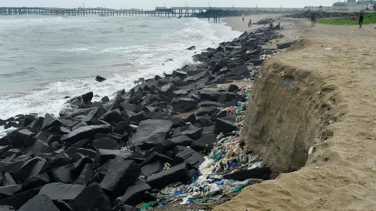 Artificial reefs to be erected along Puducherry’s coastline to facilitate fish breeding