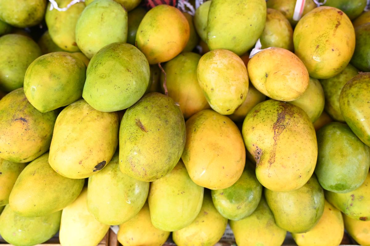 The Pathiri variety, with its unique aroma and sweetness, floods the markets of Mayiladuthurai and neighbouring areas during the season. The green-yellow skin and red-yellow pulp are hard to resist. 