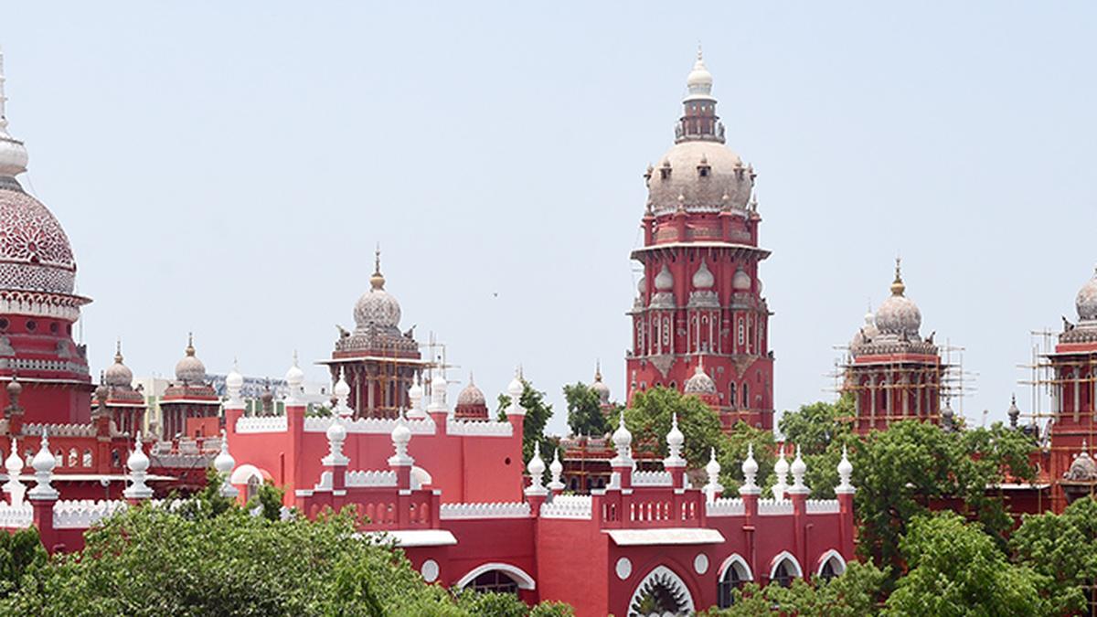 Playing cricket with cork ball not a criminal offence, says Madras High Court