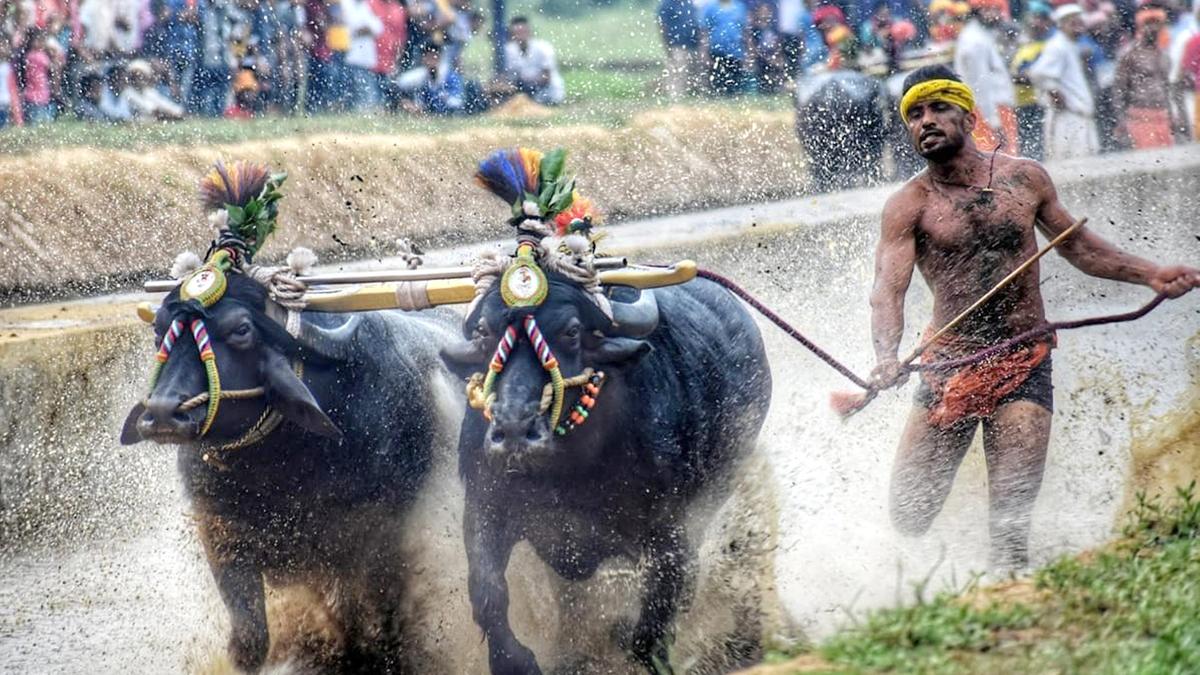 Top news developments in Karnataka on January 22, 2023