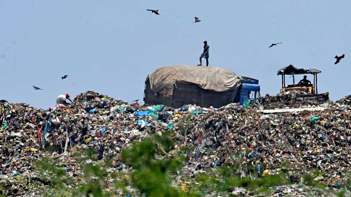 Chennai’s waste forecast: population growth and the 30-year waste challenge