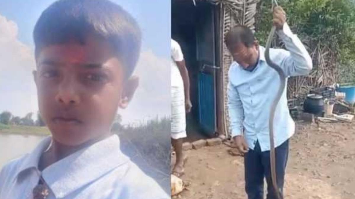 Child dies of snake bite, family rescues reptile and release in forest near Belagavi