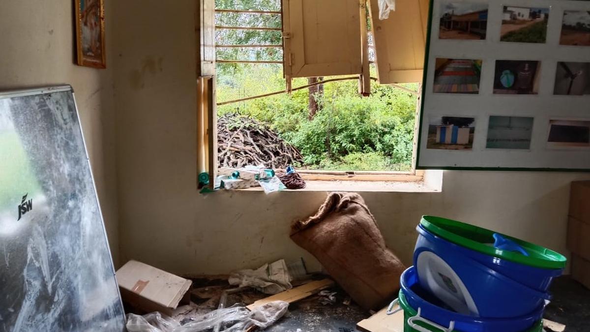 Elephant raids school storeroom for jaggery