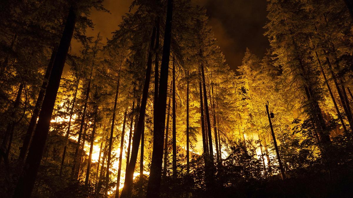 The Science Quiz: On firestorms