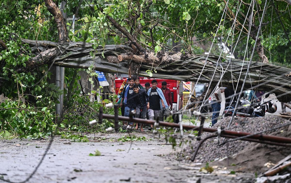 People come through an uprooted tree damaged by strong winds following landfall of Cyclone Remal in Guwahati, Assam on 28 May 2024. 