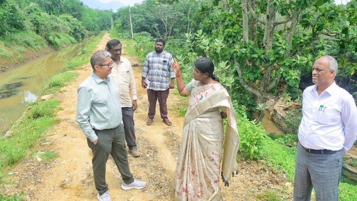 Monitoring officer reviews desilting and widening of waterbodies in Kanniyakumari