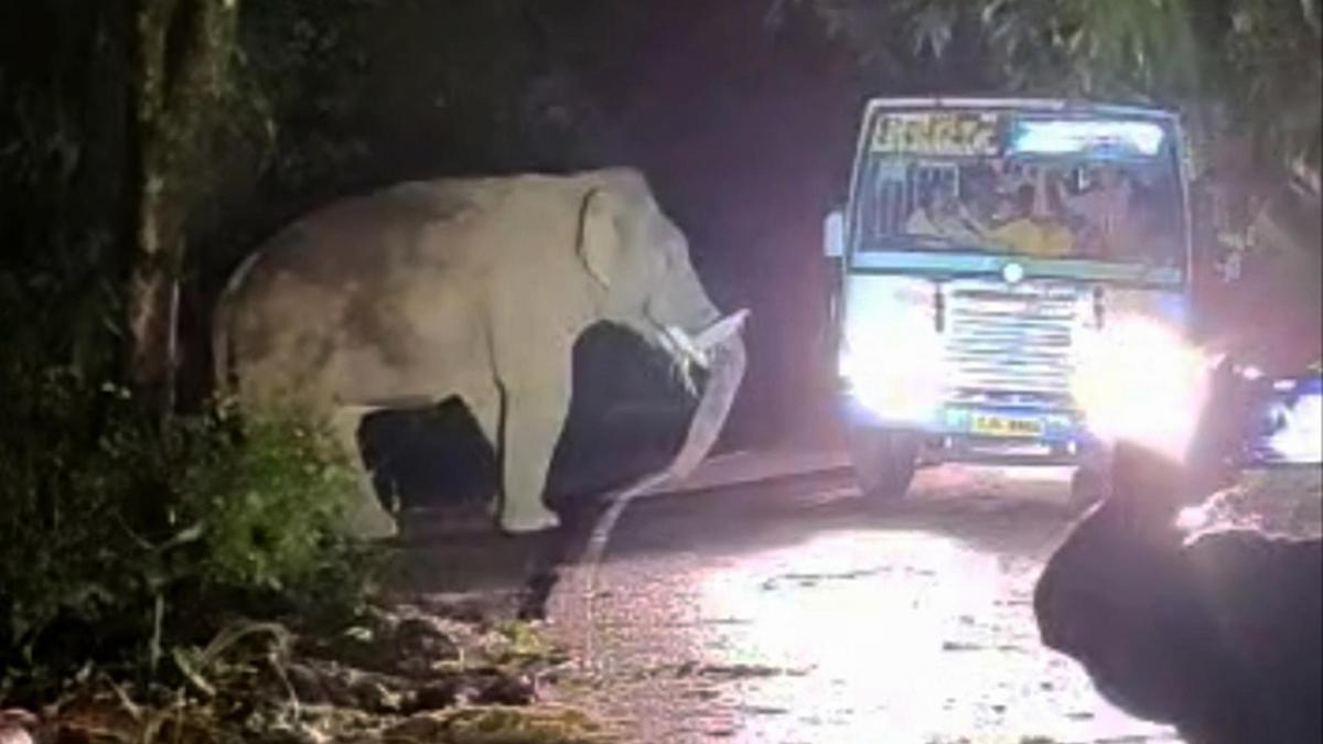 Cameras, alarm system installed at Kuthiran to alert forest officials when elephant approaches inhabited areas: Minister A.K. Saseendran