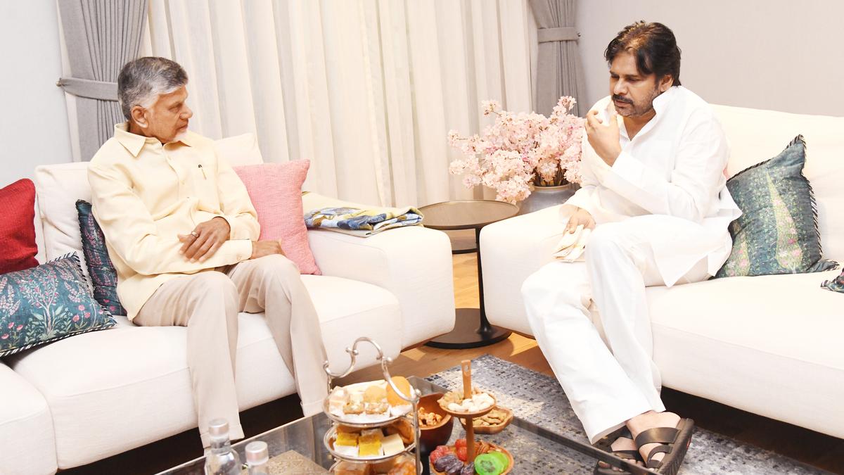 Andhra Pradesh CM Chandrababu Naidu wishes Deputy CM Pawan Kalyan a speedy recovery