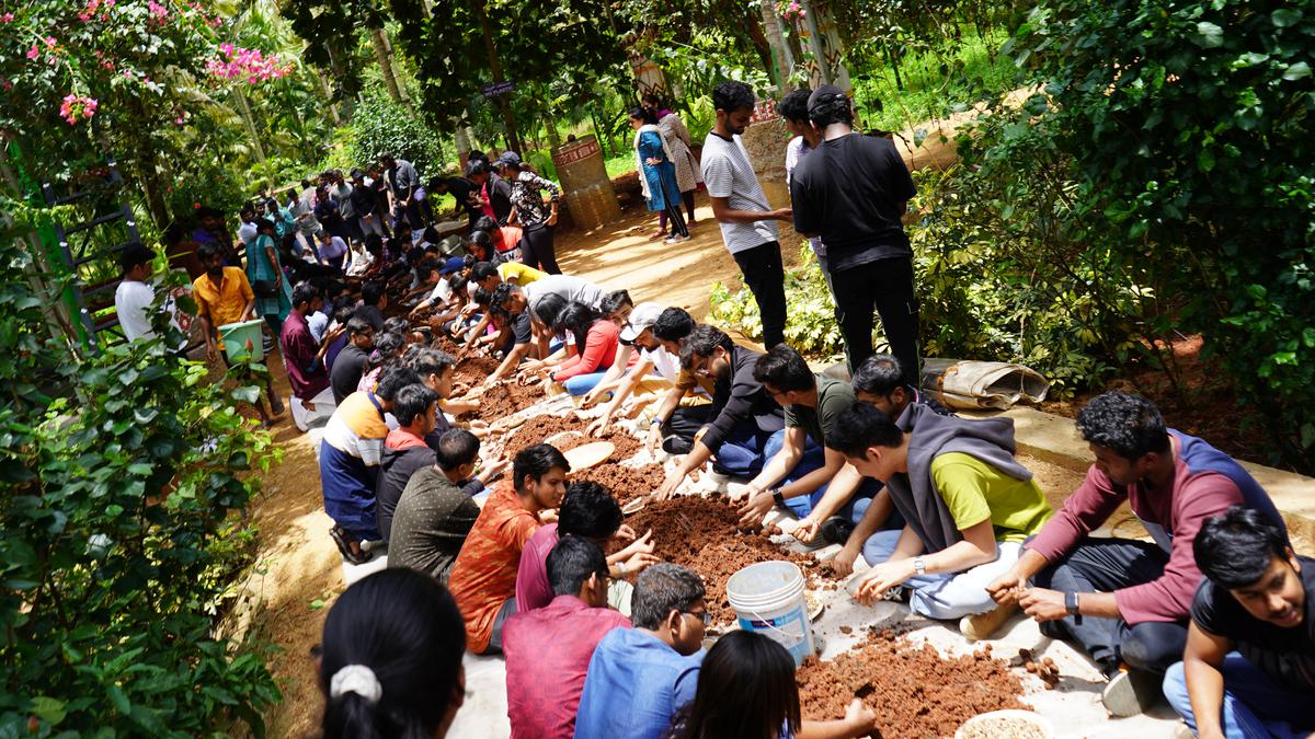 What do management students hope to learn by making seed balls