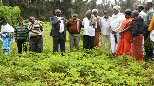 68,000 hectares in Nilgiris prone to soil erosion in the coming years, says ICAR studies
