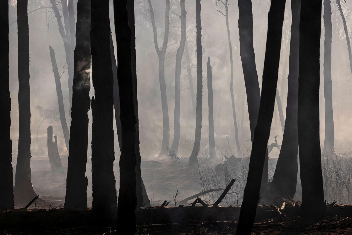 Smoke fills the air during a forest fire outside Lyman, Donetsk region, amid Russia’s attack on Ukraine, July 27, 2024. The foresters interviewed said the Russians were heavily dug in, and left booby traps and tripwires behind as they retreated. On two separate occasions in Donetsk, Reuters reporters saw rangers and fire crews look on from narrow cleared paths as fires chewed their way through the mined forest undergrowth in front of them. 