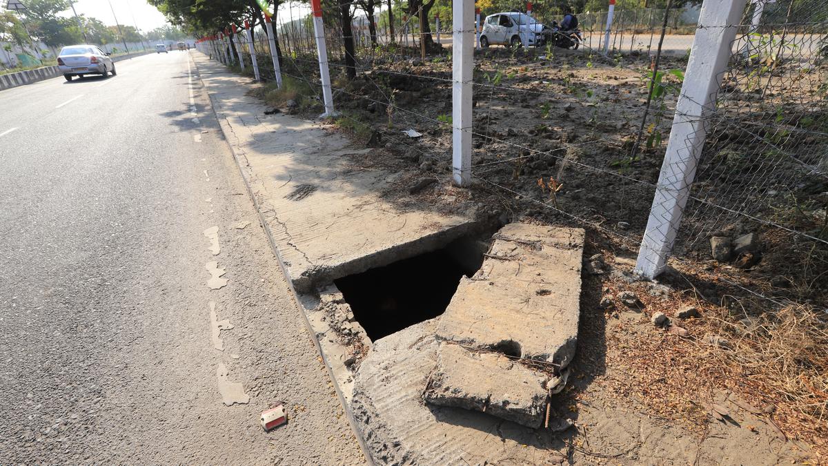 Pavement lining urban forest in Taramani needs attention