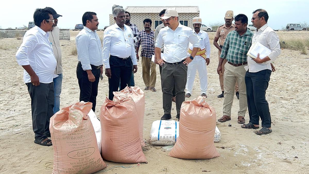 Collector inspects removal of plastic pellets from Danushkodi seashore