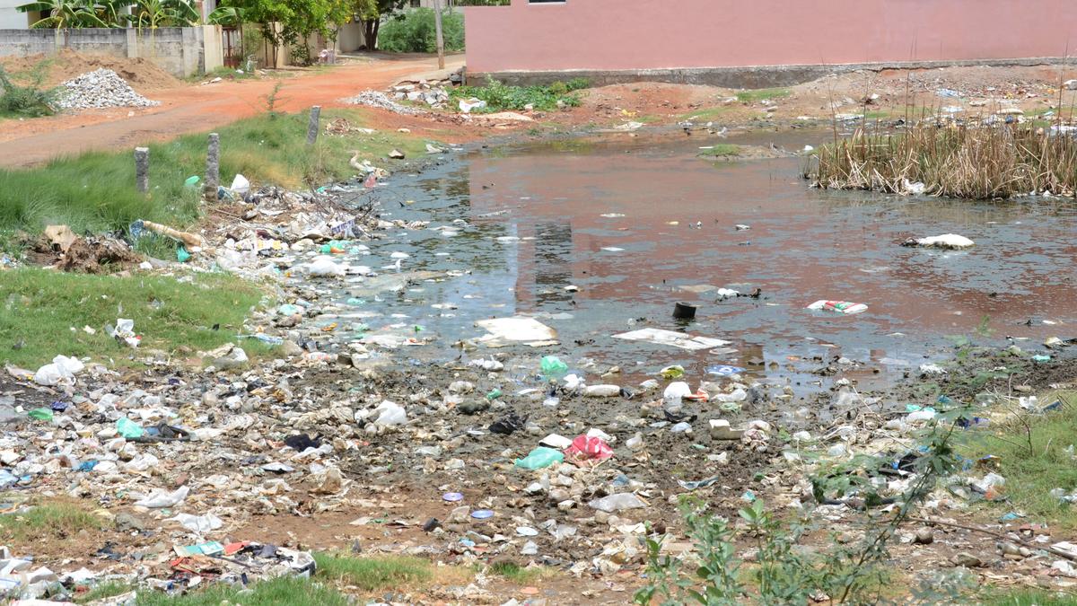 Tiruchi Corporation tells owners of neglected empty plots to clean up