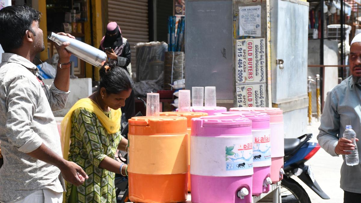 Telangana sizzles as temperatures cross 43°C; all 33 districts record above 41°C