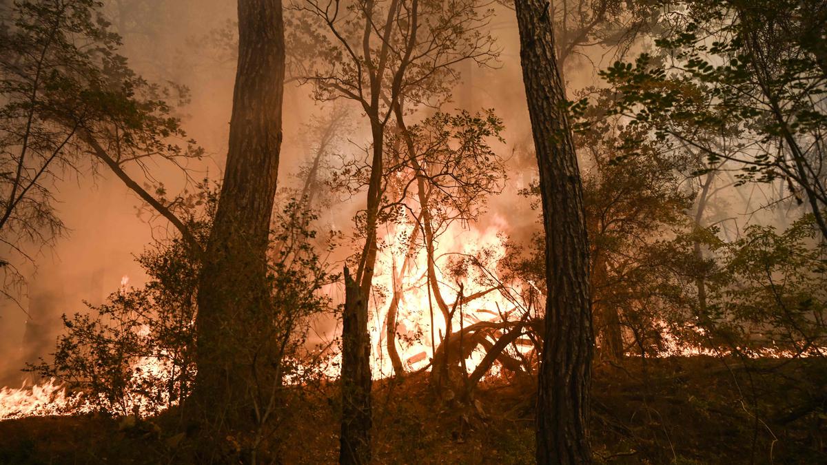 Experts blame poor government preparation for Greek fires' devastation