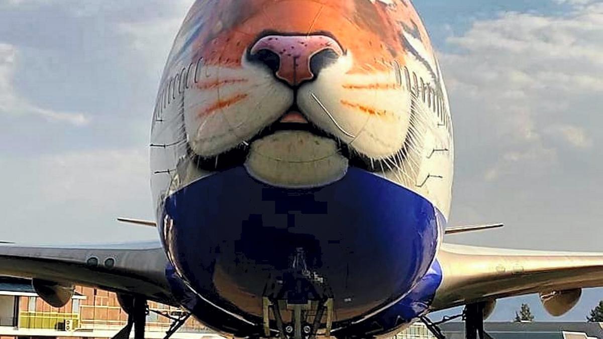 Jet that flew in cheetahs had earned its stripes