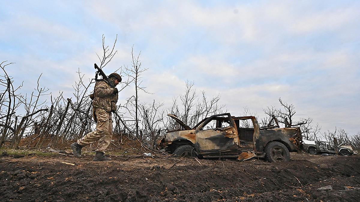 Germany doubles arms exports to Ukraine, halves them to Israel in 2024