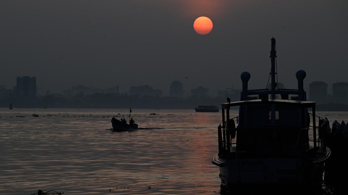 Shrimp catch, return of oil sardines bring cheer to fishermen