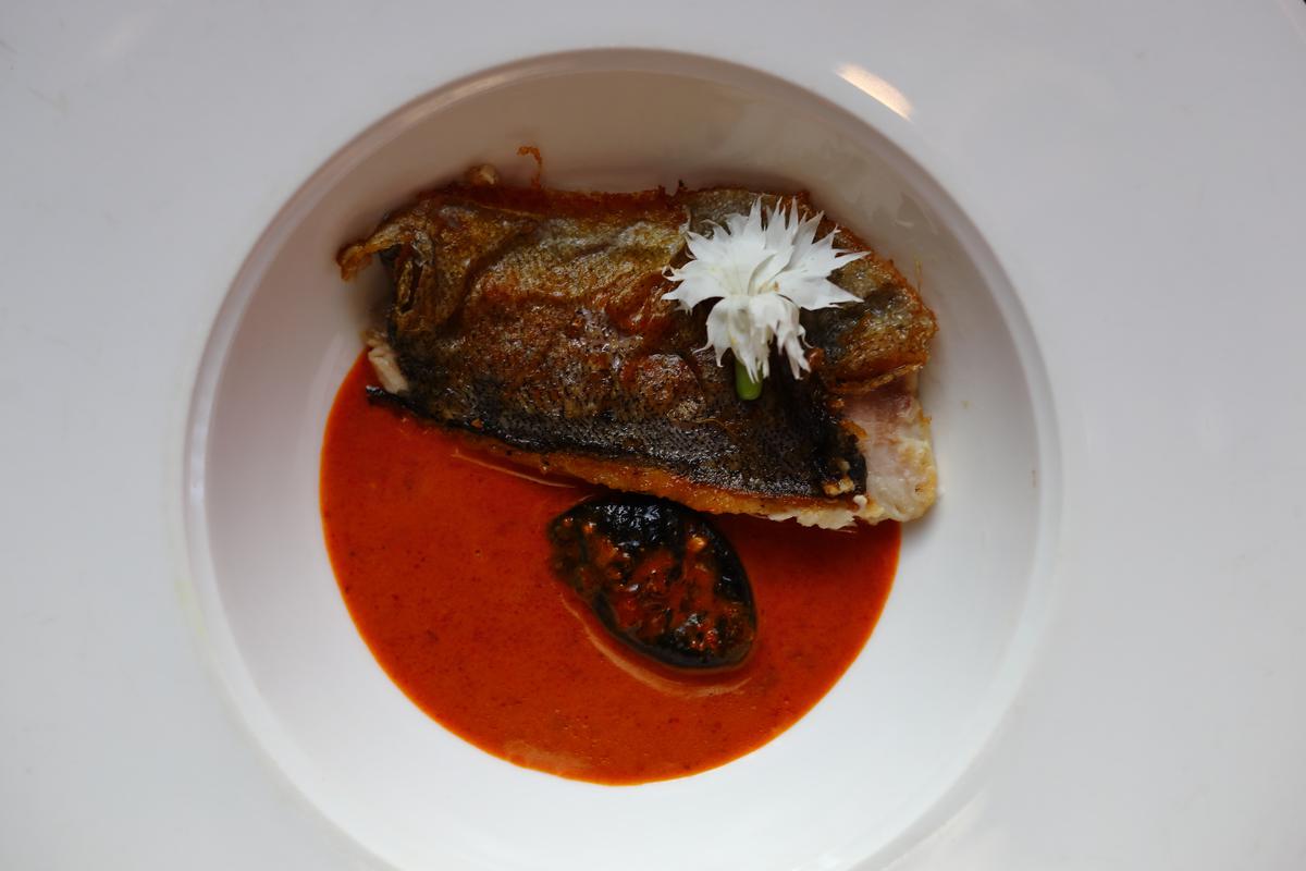 Himalayan Trout Chinchoni at Michael Swamy Roseate pop-up