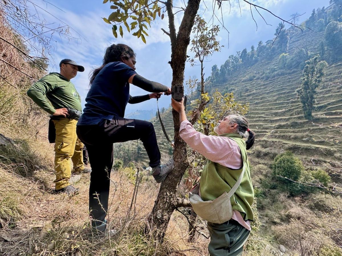 Sanjay Molur during camera trapping training and setting up Sanjay Molur during camera trapping training and setting up