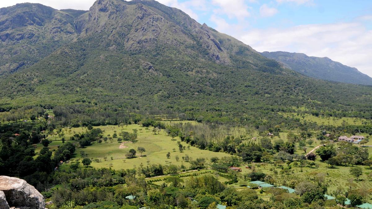 No prohibition to grant building plan approvals within 150 metres from reserve forests in hill stations, rules Madras High Court