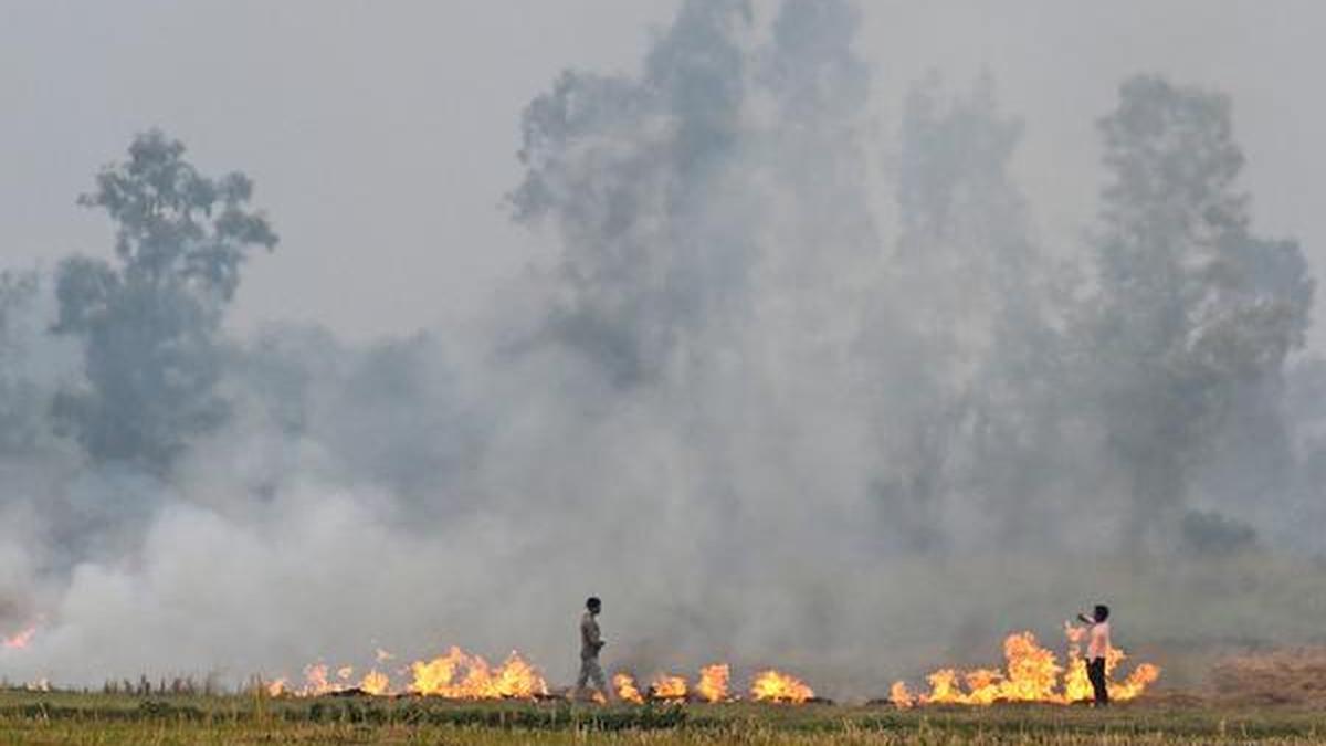 Delhi air pollution LIVE: Centre should come up with long-term solution taking all stakeholders on board, says CJI