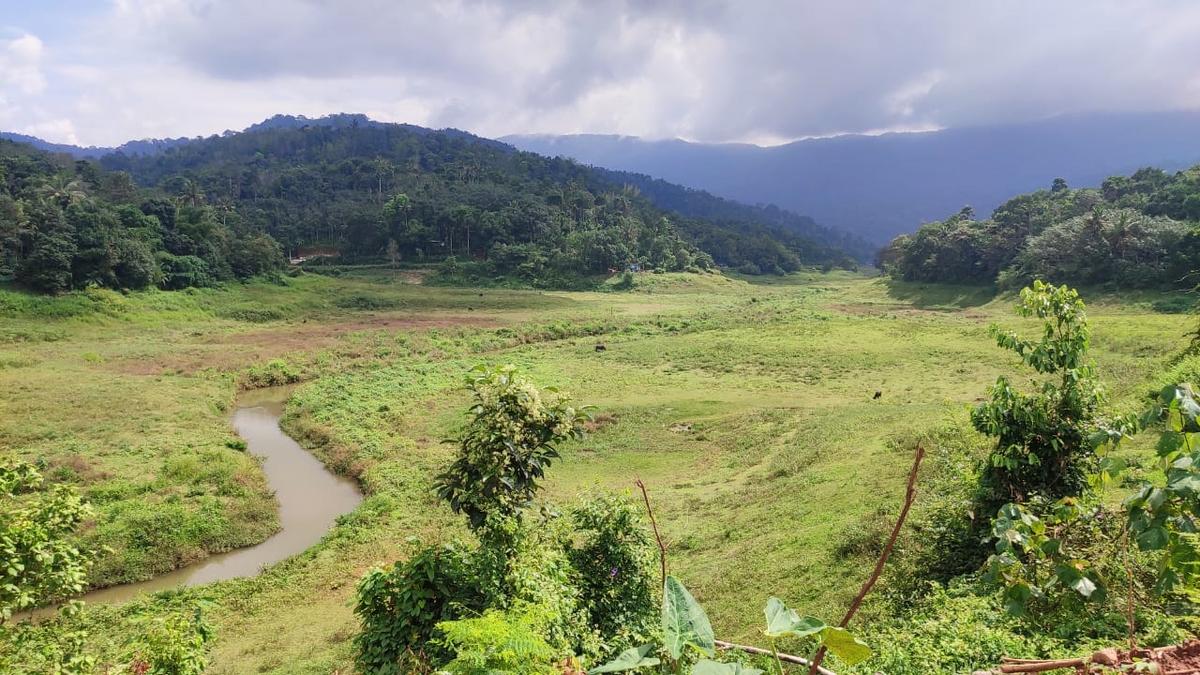 Water level in Idukki dam remains at low storage mark