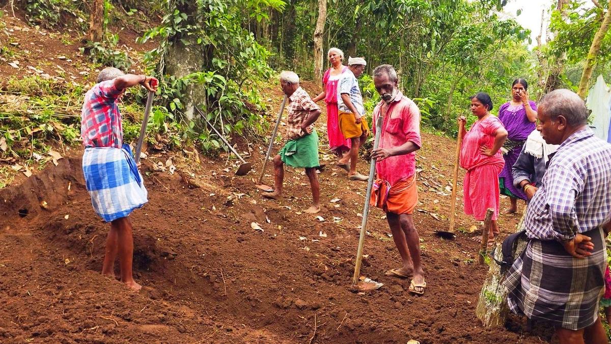 After a long gap, farming to be resumed on abandoned lands of  Periyar Tiger Reserve