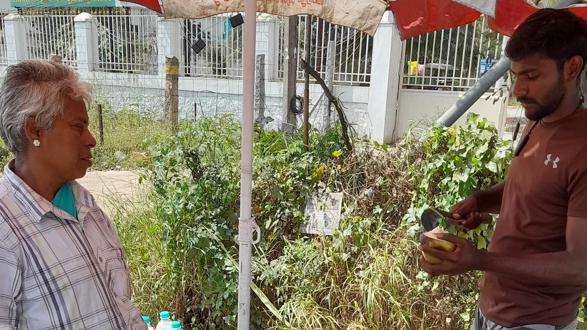 An engineering graduate pursues his family tradition of selling ice apples