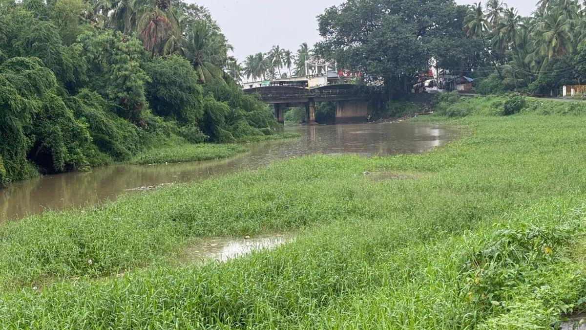 Sewage discharge pushes Pazhayar river to the brink