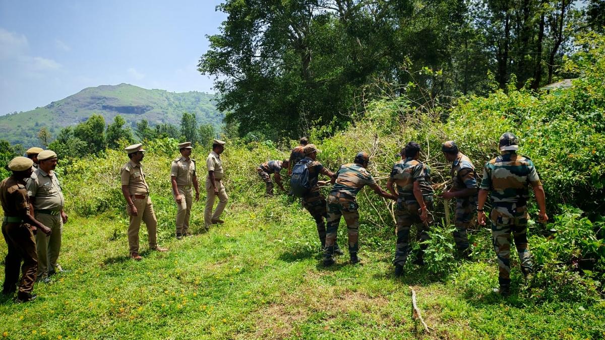 Invasive species removed in Gudalur as part of World Environment Day celebrations