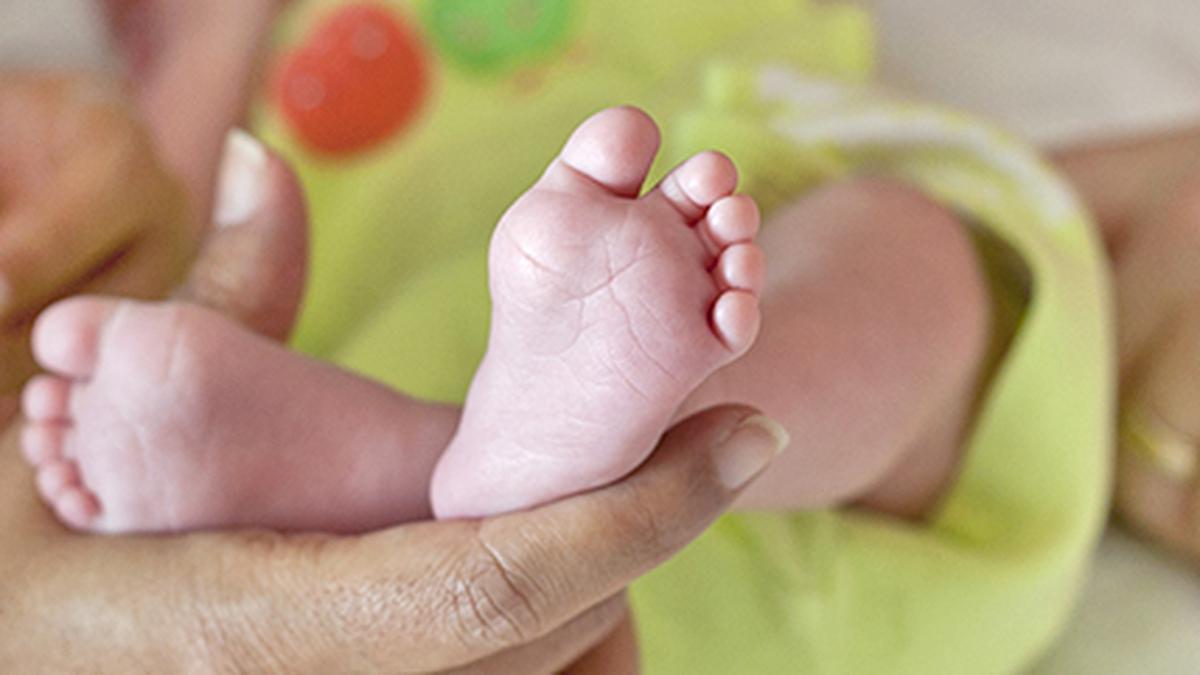 Leihmutterschaft mit Spendergameten kann nicht verboten werden, sagt das Oberste Gericht von Karnataka