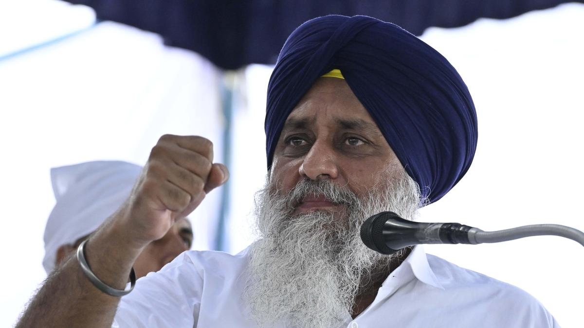 Akali Dal plans to start campaigns early for 2027 Punjab Assembly polls