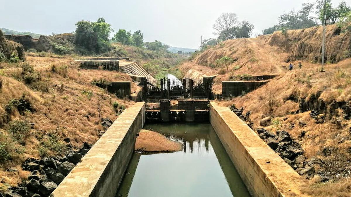 Goa-based NGOs write to Centre against Mahadayi river project
