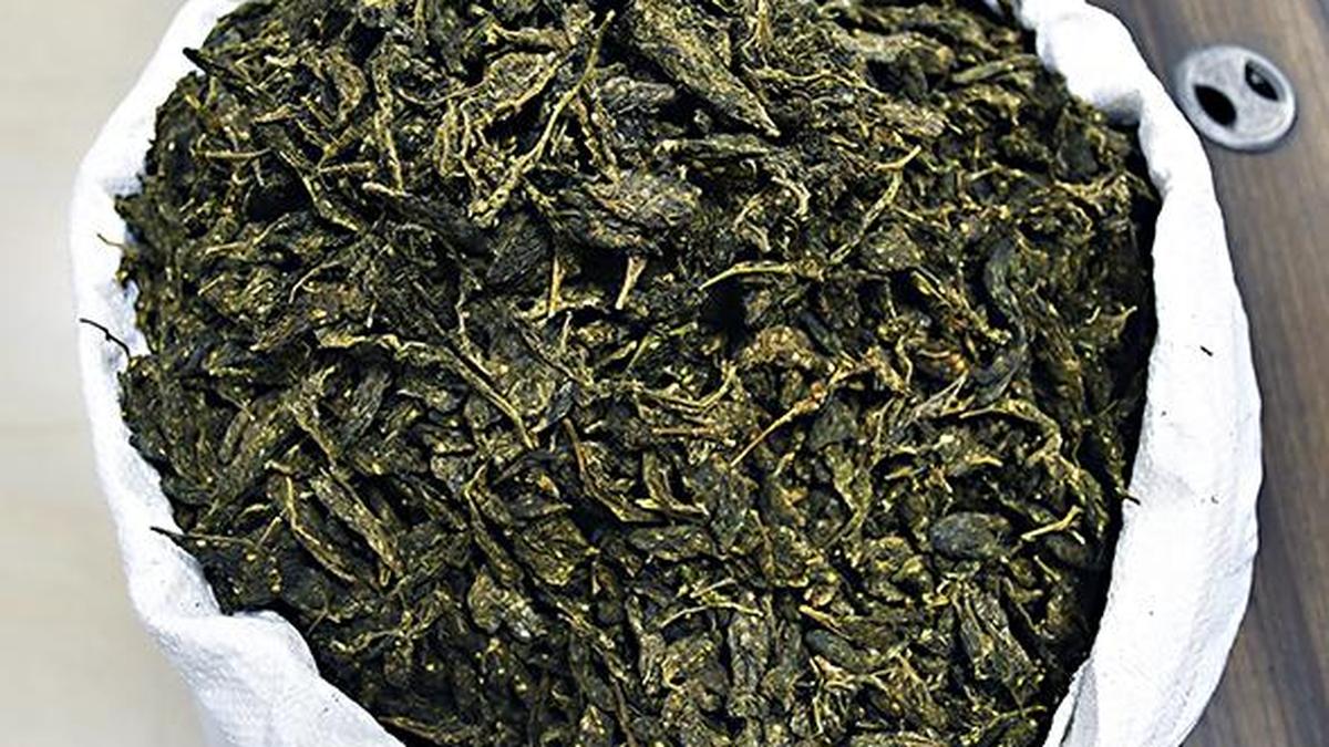 MDMA and hydro ganja worth ₹28.75 crore seized in Bengaluru