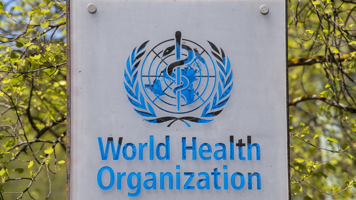 World Health Organization approves first mpox diagnostic test