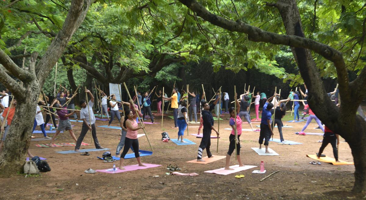  Yoga enthusiasts take part in a group yoga session 