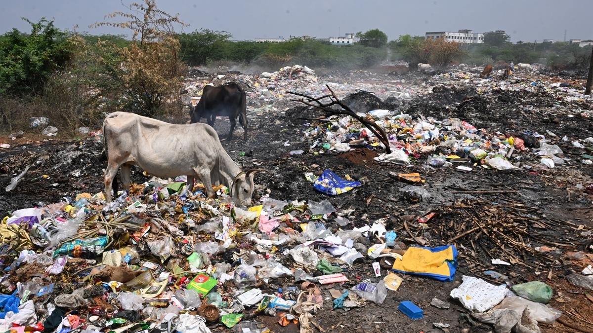 Waste dump yard near Sivaganga GH is proving to be a health hazard for patients