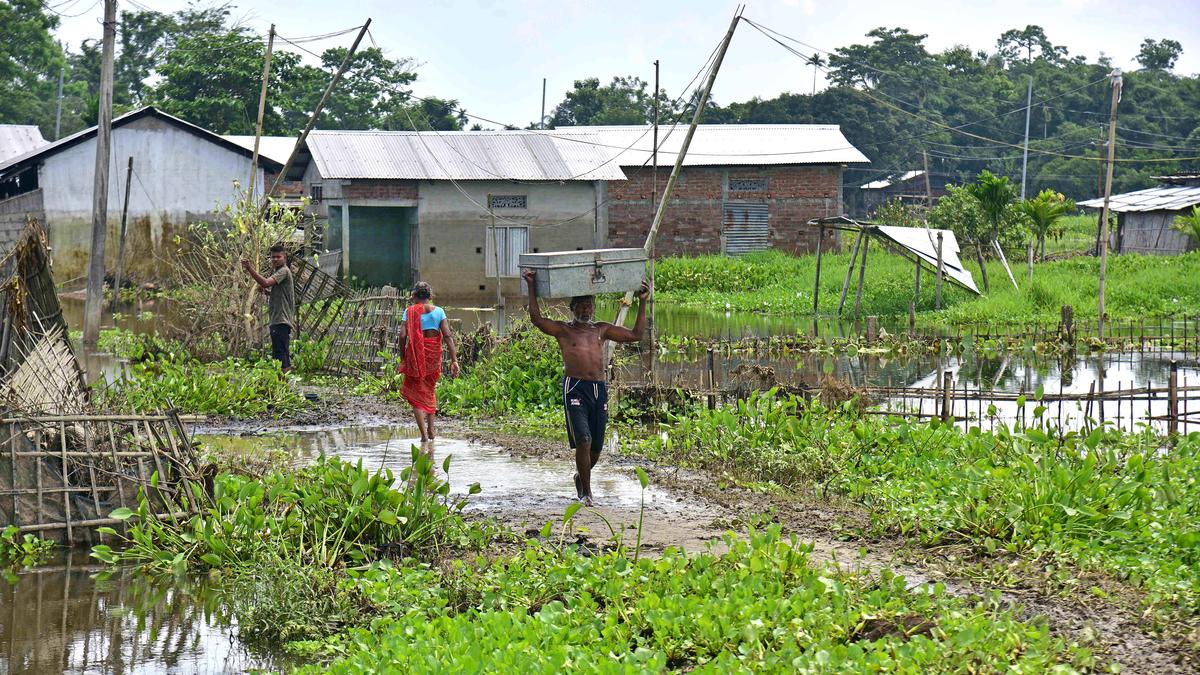 Assam flood situation continues to improve; water receding fast