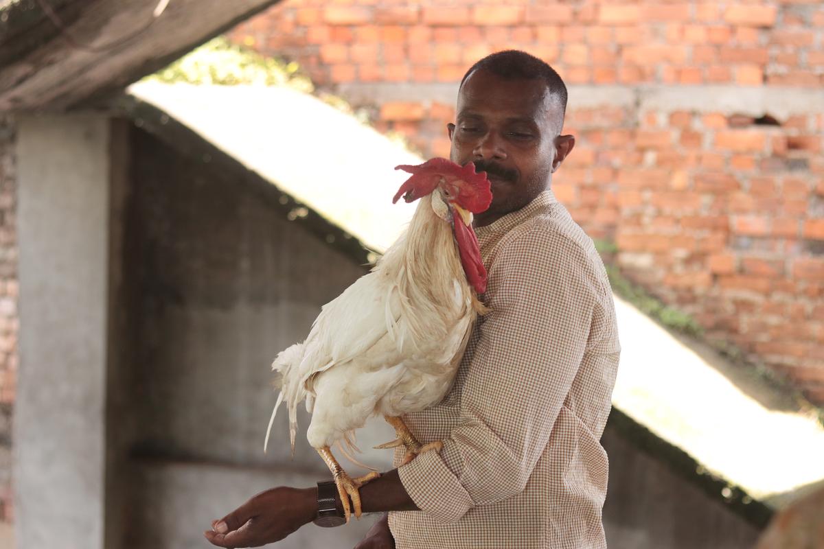 Shaji Balaramapuram with his rooster Mani, who ‘acted’ in the movie Poovan Shaji Balaramapuram with his rooster Mani, who ‘acted’ in the movie Poovan