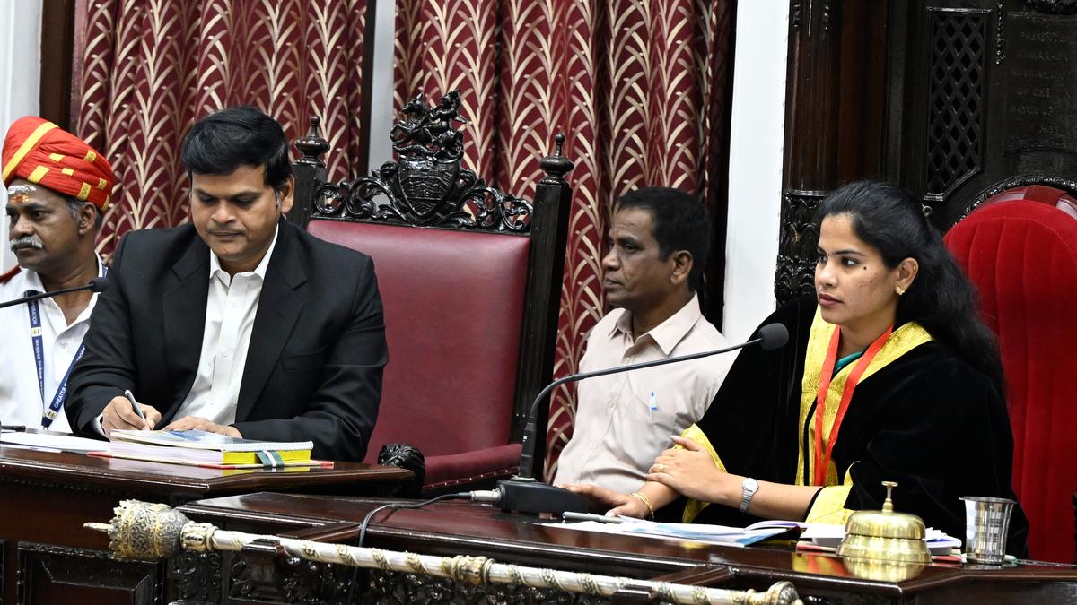 Greater Chennai Corporation Council approves storm-water drain projects in Anna Nagar and Teynampet zones