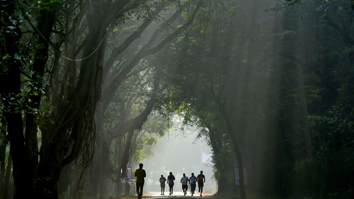 Auroville Marathon attracts runners from far and near